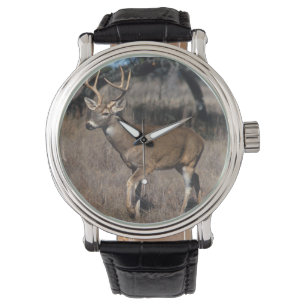 Montre Cerfs communs de queue blanche