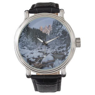 Montre Chaîne de montagnes Geisler enneigée