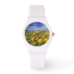 Montre Chaîne frontale des montagnes Rocheuses