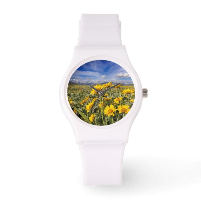 Montre Chaîne frontale des montagnes Rocheuses (Recto)