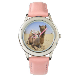 Montre Chameau Désert Moyen-Orient Paix Amour Nature Dest