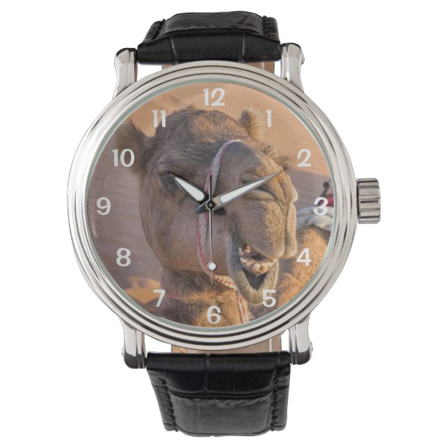 Montre Chameau drôle (devant)