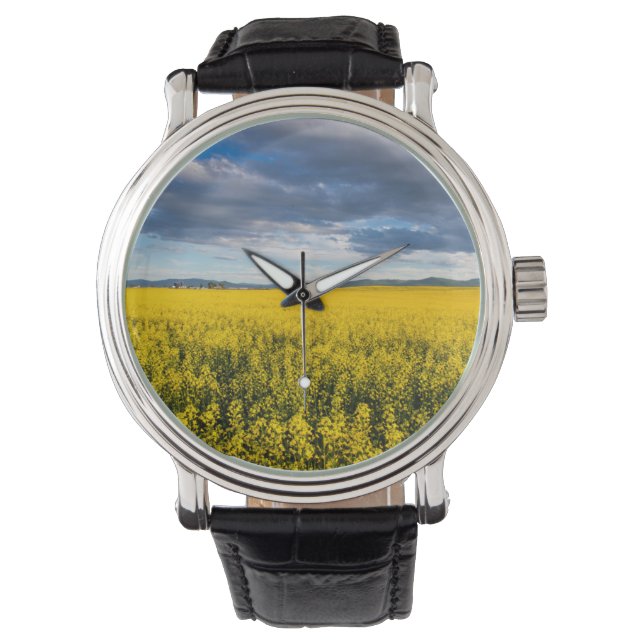 Montre Champ de canola dans la lumière du soir (devant)