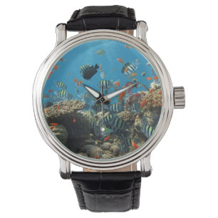 Montre Chaos tropical de poissons