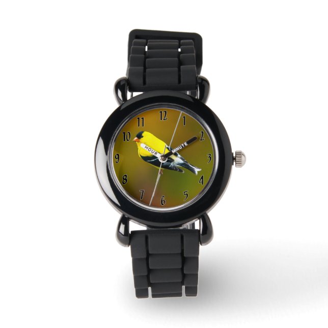 Montre Chardonneret d'Amérique - Photographie originale (Recto)