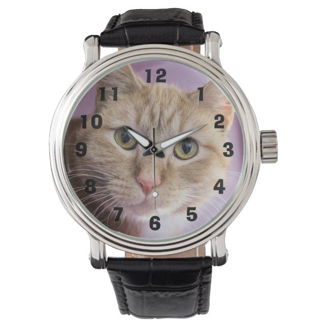 Montre Chat (devant)