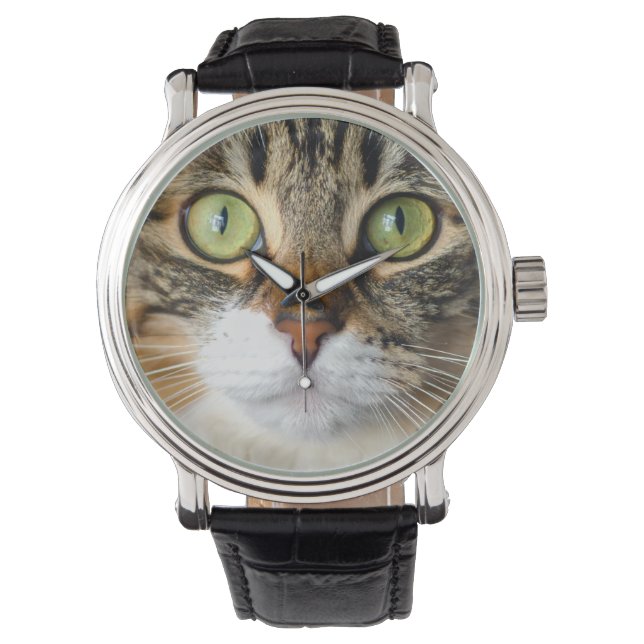 Montre chat (devant)