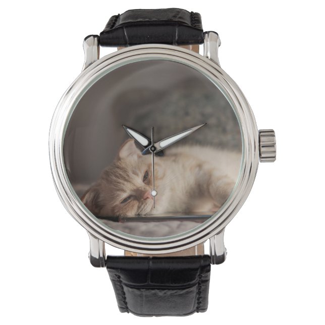Montre Chat, Animal de compagnie, Chatons (devant)