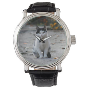 Montre Chat, Blanc, Animaux