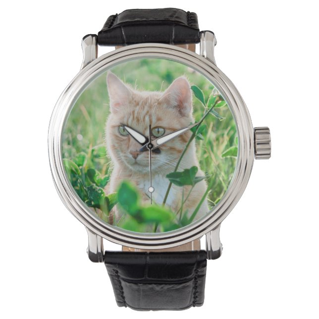Montre Chat dans la nature (devant)