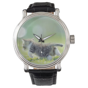 Montre Chat de bébé fonctionnant sur le champ d'herbe