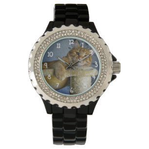 Montre Chat de détente