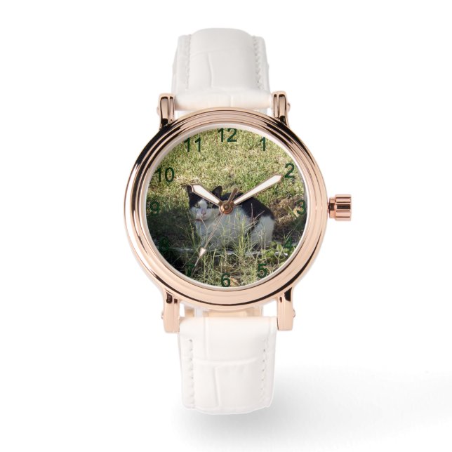 Montre Chat Noir Et Blanc Dans Le Jardin, (Recto)