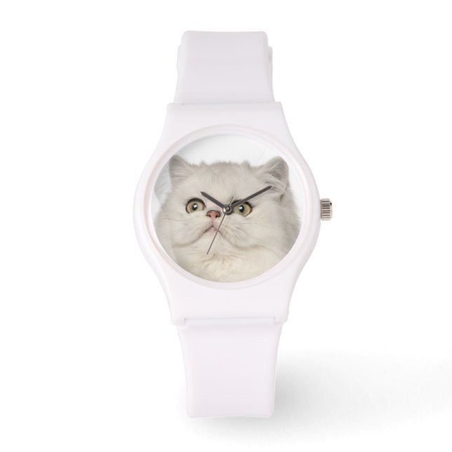Montre Chat perse assis (Recto)