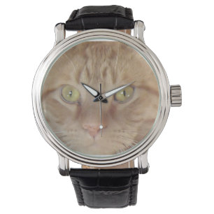 Montre Chat Tabby Orange