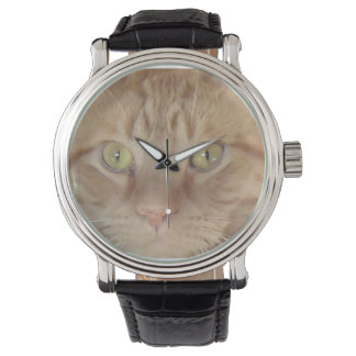 Montre Chat Tabby Orange