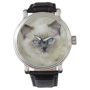 Montre Chaton Ragdoll