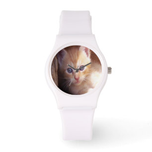 Montre Chats