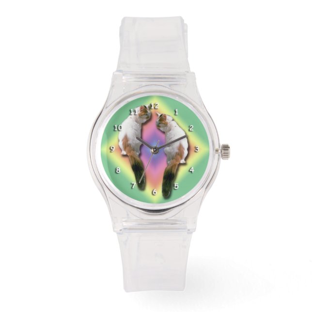 Montre - Chats et Rainbow Diamond (Recto)