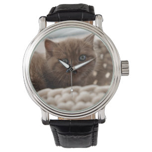 Montre Chatte britannique, chaton, chat