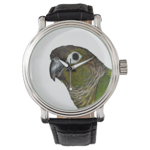 Montre Cheeked vert Conure