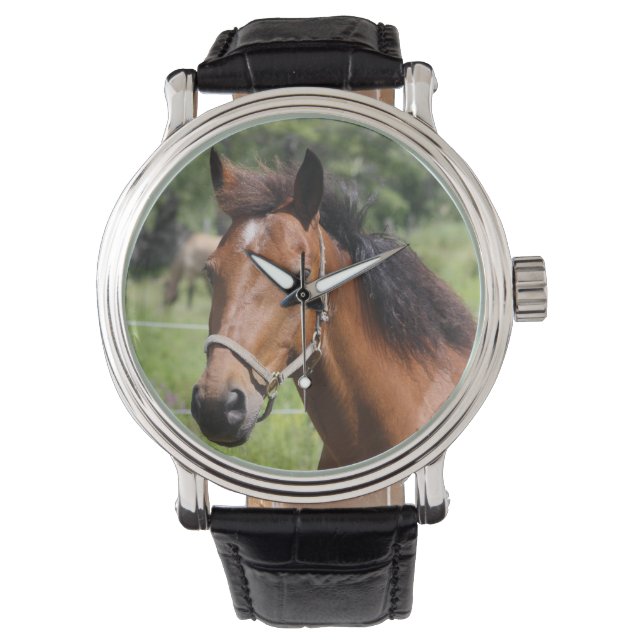 Montre Cheval (devant)