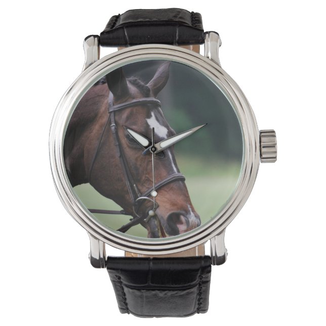 Montre Cheval arabe à visage blanc (devant)