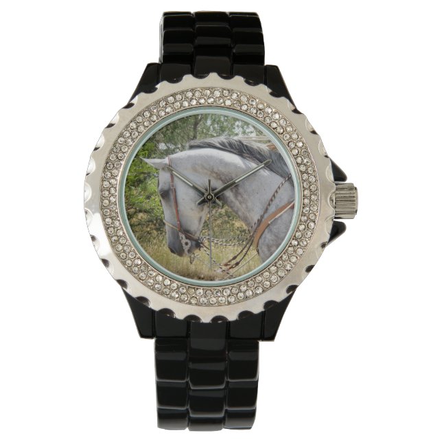 Montre Cheval Bridle (devant)