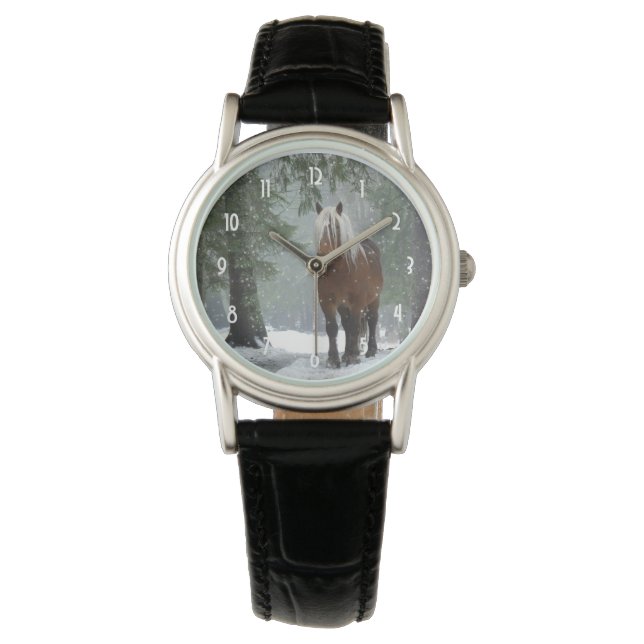 Montre Cheval Brown dans une forêt d'hiver avec chute de  (devant)