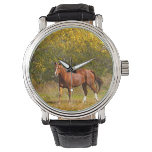 Montre Cheval de châtaignes en automne