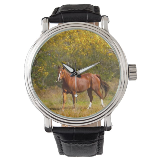 Montre Cheval de châtaignes en automne (devant)