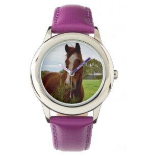 Montre Cheval De Châtaignier Qui Sent Un Banksia Tree,