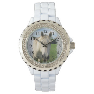 Montre Cheval gris-quarts sur planche blanchie