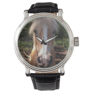 Montre Cheval Haflinger