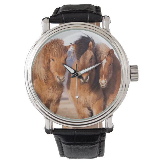 Montre Cheval islandais en hiver (devant)