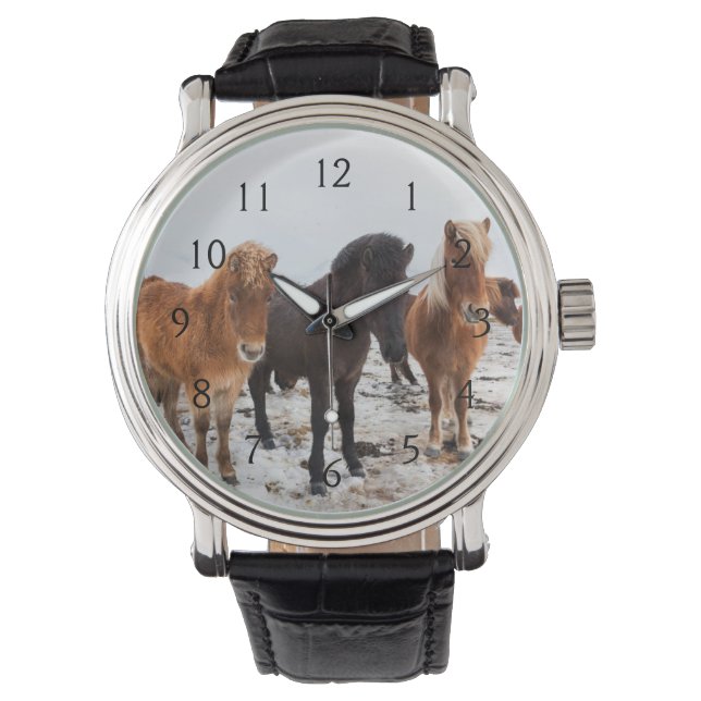 Montre Cheval islandais en hiver en Islande (devant)