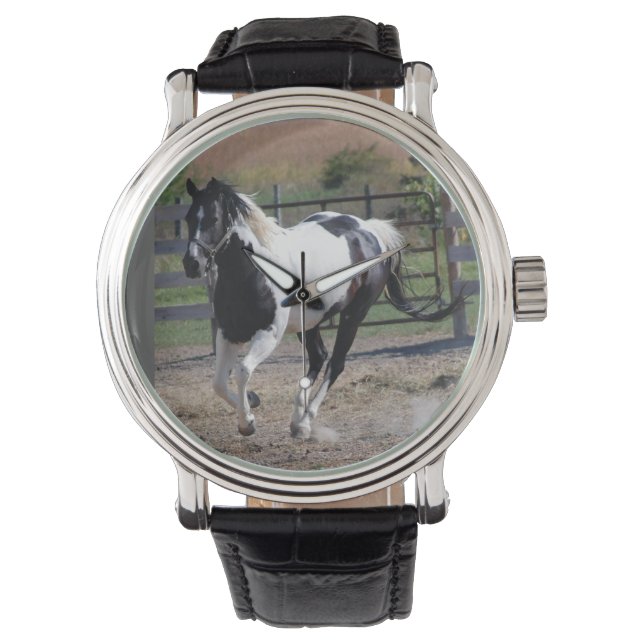 Montre Cheval Pinto Paint (devant)
