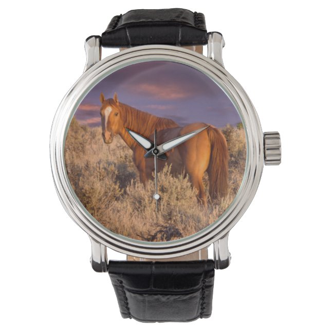 Montre Cheval sauvage du comté de Harney se tient alerte (devant)