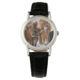 Montre Chevaux islandais se blottissent, Islande