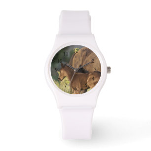 Montre Chevaux sauvages au parc national Theodore Rooseve