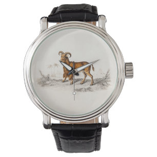 Montre Chèvre barbue vintage dessinant de rétros chèvr