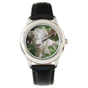 Montre Chèvre regardant la caméra