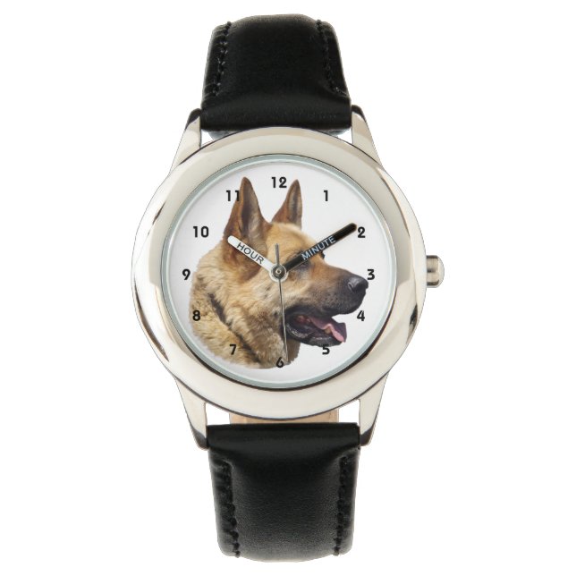 Montre Chien berger allemand alsacien (devant)