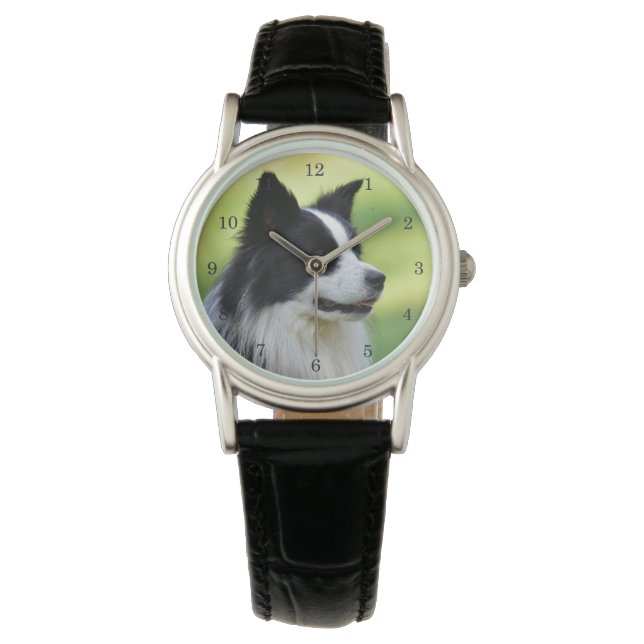 Montre Chien de berger border collie noir et blanc (devant)