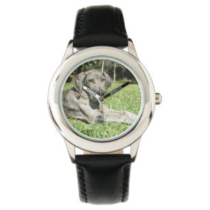 Montre Chien de great dane