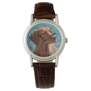 Montre Chien de Magyar Vizsla
