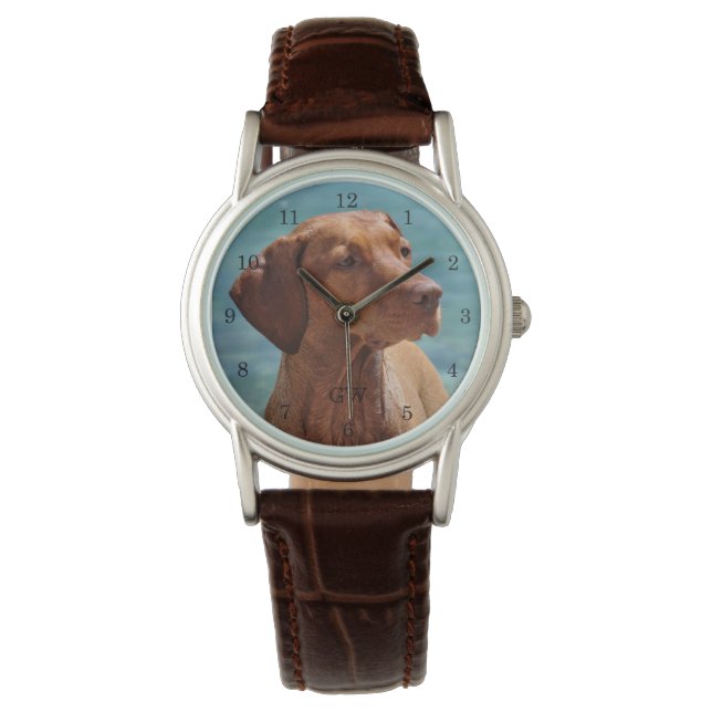 Montre Chien de Magyar Vizsla (devant)