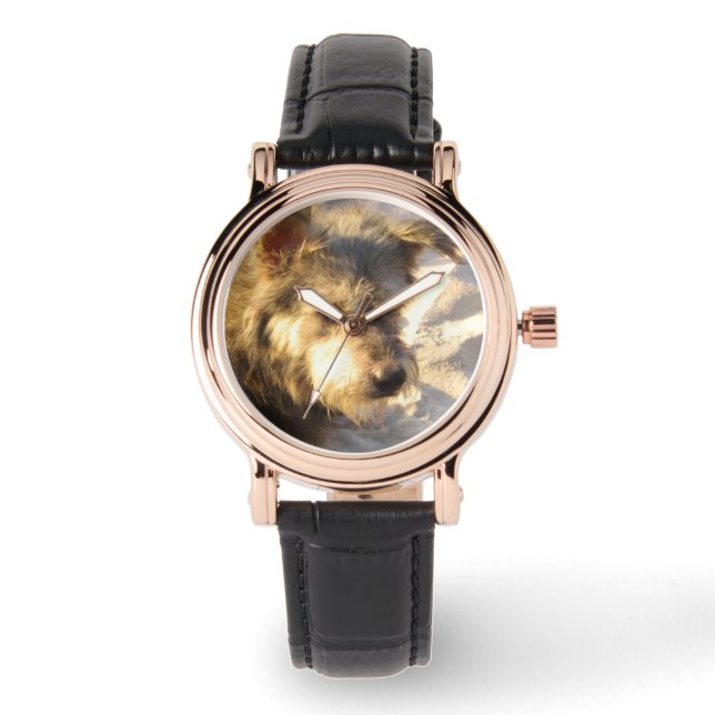 Montre Chien de plage thaïlandais (Recto)