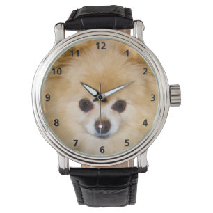 Montre Chien de Pomeranian