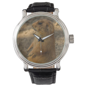 Montre Chien de prairie